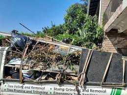 Best Estate Cleanout  in Kingwood, WV